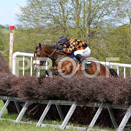 Mister Philson , winner, Jockey Derek O'Connor - FT8E1998-e