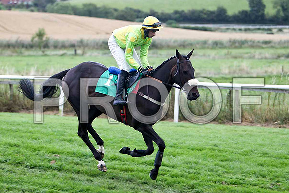 Ahead Ahead - 12th, Jockey D J Bates  - FT8E3931-e