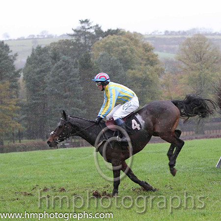 01 Mercers Court & P E Turley - winner (4, light blue and yellow stripes ) - FT8E9489-4