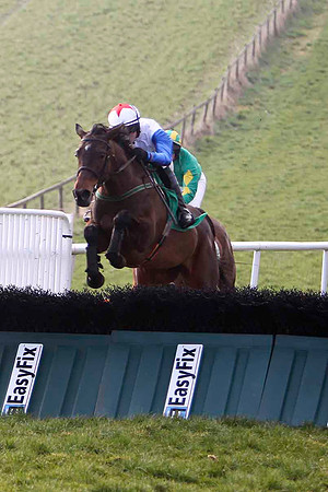 Mayo Mystique - 4th, Jockey D J Bates - FT8E0415-e2