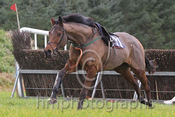 08 MerryWesterner & J P Mckeown - 8th (11, emerald green, yellow star ) - FT8E0586-28