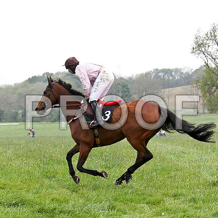 Aces or Better, 2nd, Jockey J J Codd - FT8E2469-e