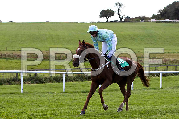 Connemara Kate , Jockey P D Kennedy - PU - CU2D9197-e