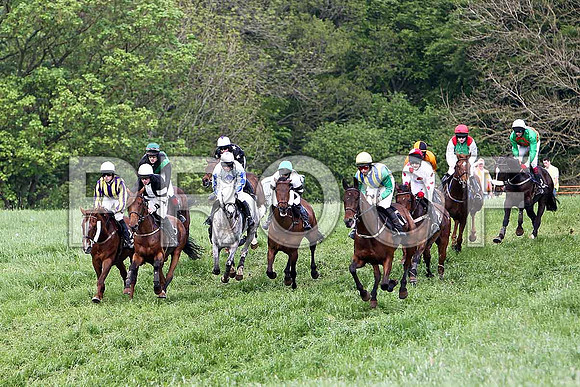 Race 6 Div 1 -Mr Moneyspinner (20) Winner, Rider M J O'Hare - 2rd from right green red epaulettes - CU2D9753-e