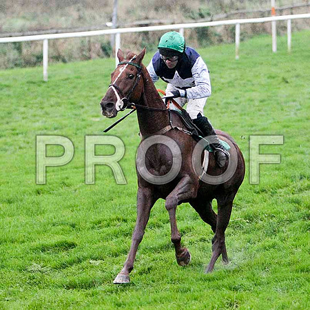 Acriveen , 4th - Jockey R M Moran - FT8E5514-e