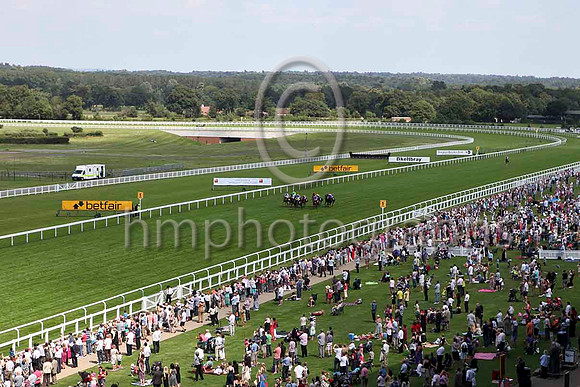 Ascot - IMG_9843-e