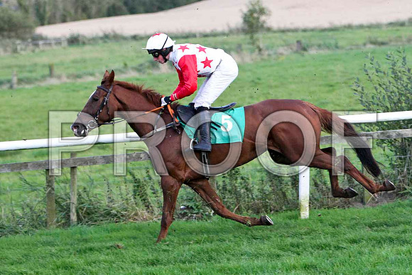 Bridgets Pet - Winner - FT8E5077-e
