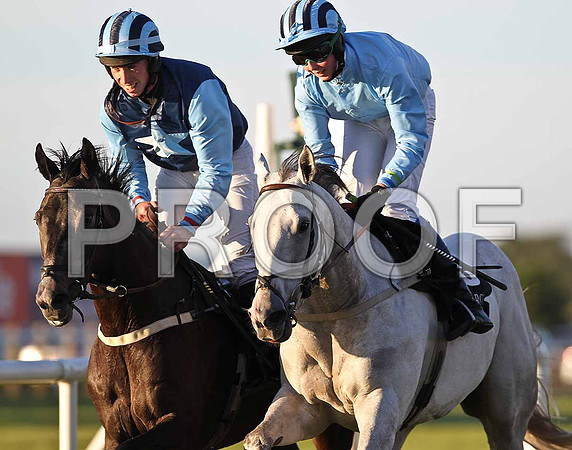 Moon Cove 11th , Jockey M W Bowes & Casual Encounter 10th , Jockey K K Woods - FT8E1210-e
