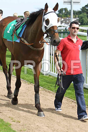 City Hustler 3rd , Jockey Mr M P Fogarty - CU2D1629-e