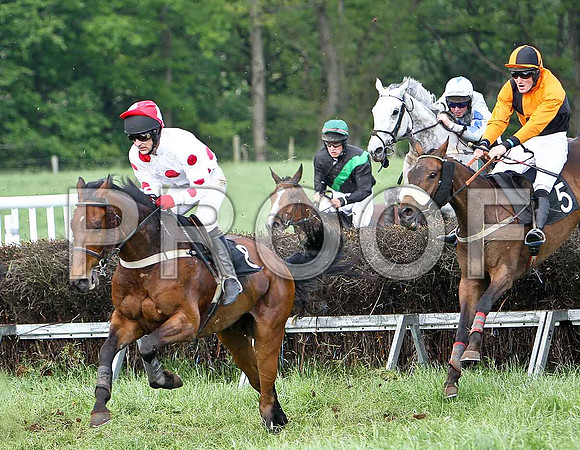 Race 6 Div 1 -Crankie Frankie (5) 2nd, Rider W G Rankin - CU2D9766-e