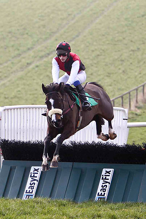 Garamor Boy - Winner, Jockey M P Burke - FT8E0414-e