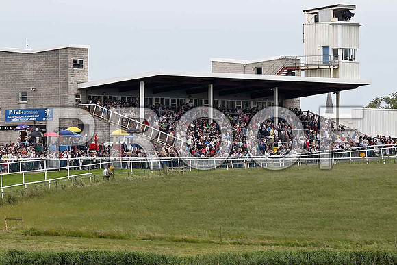 R2 - Clifton Four 12th, Jockey Mr D Macauley - FT8E1652-e