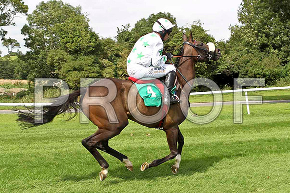 Hamalka 5th, Jockey P Carberry - FT8E2922-e