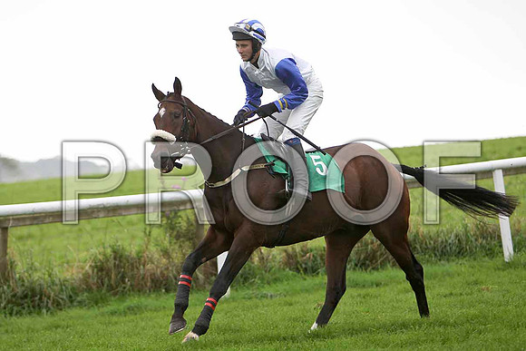 Market Watcher , Jockey C J Bailey - 2nd  - CU2D2294-e