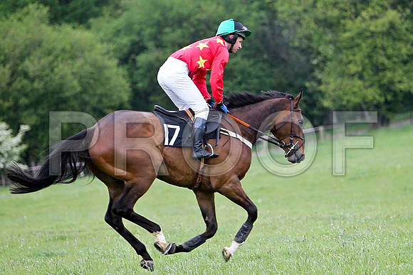 Fast Exit , 3rd, Jockey N McParlan - FT8E2268-e