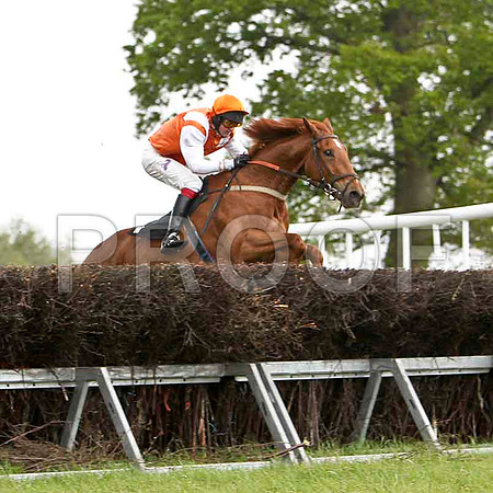 Glenwood Present , Winner, Jockey - C Cully - FT8E2302-e