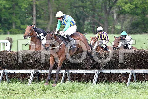 Race 6 Div 1 -ISISISISIS Fell, Rider Derek O'Connor, Macroger (17) 3rd, Rider D A Fitzsimmons, Tanzad (28) 4th, Rider B O'Neill & Belfry Boy (3) 7th, Rider R M Johnson - CU2D9763-e