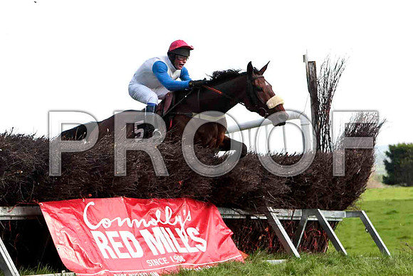 Clyde House , 8th, Jockey - P E Turley - CU2D4657-e