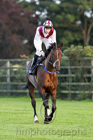 Polly Ella & J P O'Brien - 5th (2, White, maroon chevron) - CU2D3370-e