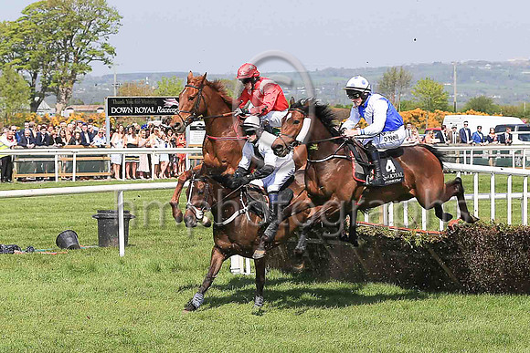 04th Probing and D Robinson ( 14 , red, pink epaulettes ) Trainer - H de Bromhead , Owner - Mrs Heather de Bromhead