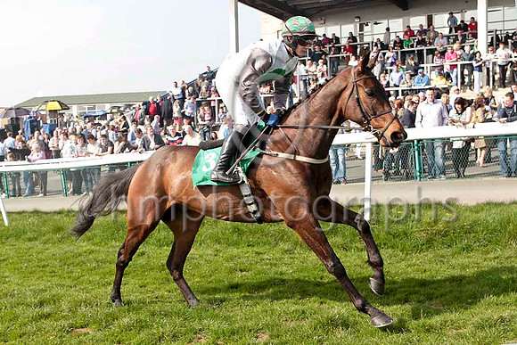 Hidden Future & P Townend - 3rd - CU2D0567-e