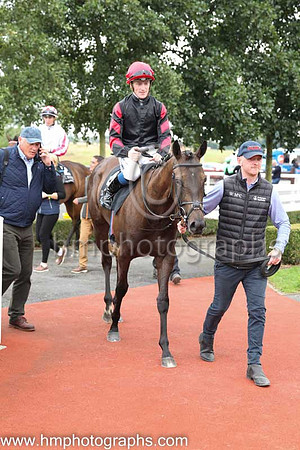 01st Ocean Jewel (4 , black ) Jockey: W J Lee , Trainer: W McCreery