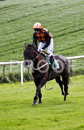 Definite Magic , 7th, Jockey - B T O'Connell - FT8E2893-e