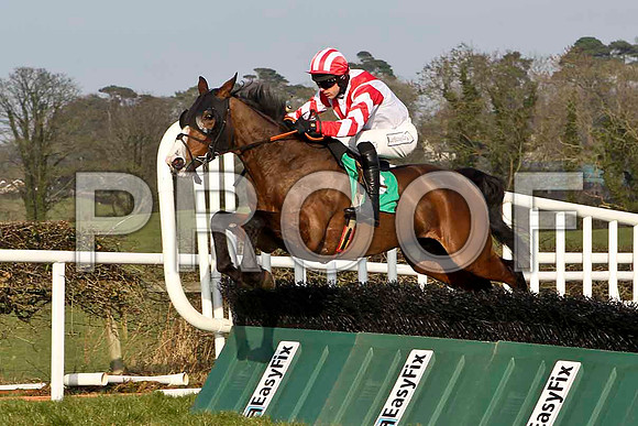 Endless Empire - 8th, Jockey M Darcy - CU2D3695-e