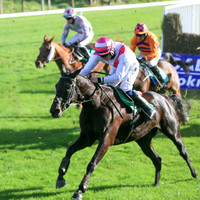 01st Fag An Bealach and D Meyler ( 9 , white, pink sash ) Trainer - A L T Moore , Owner - Marcus Beresford  Athene Keatinge  T Murray