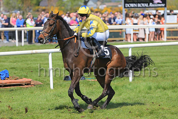 18th Royal Chorus and D F O?Regan ( 15 , yellow, royal blue star on sleeves ) Trainer - A J Martin , Owner - Who?smindingthekids Syndicate