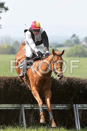 Third Race - Lylehill (8) PU, Rider Derek O'Connor - CU2D9596-e