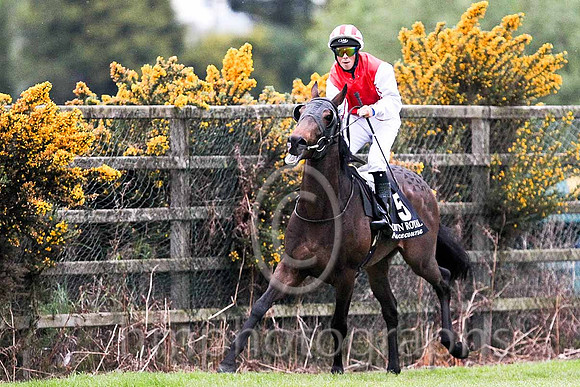 R7 - Redmir 12th, Jockey B A Curtis - FT8E0624-e