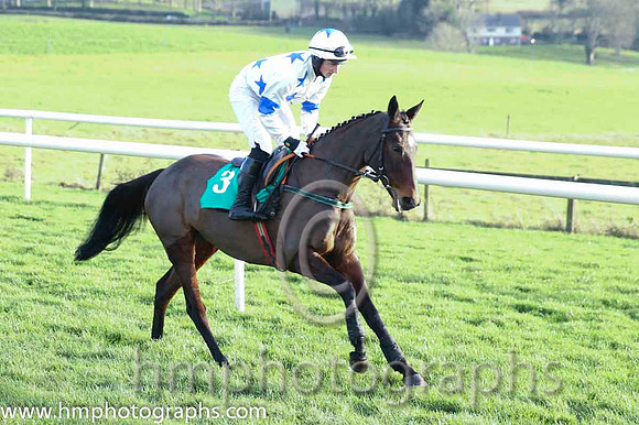 03 Definite Elegance & D G Hogan - 3rd (3, white, royal blue stars) - CU2D9537-1