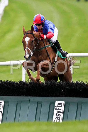 McSwynes Bay winner, Jockey K M Donoghue - FT8E1756-e
