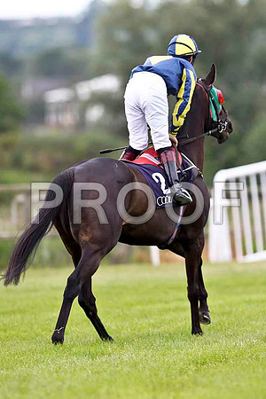 Mid Mon Lady 2nd, Jockey D C Byrne - FT8E1512-e