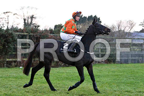 Peak Raider - U - Jockey Paul Carberry -CU2D0781-e