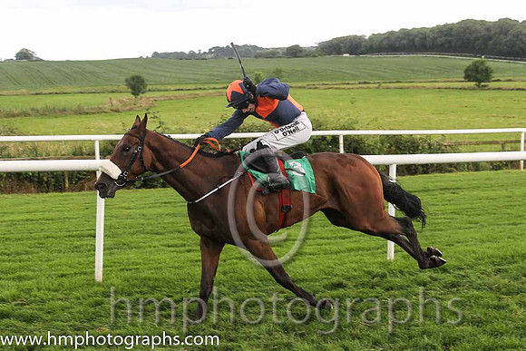 01 Tom's Article & Ms N Carberry - winners (3, orange and blue qtrd) - FT8E0008
