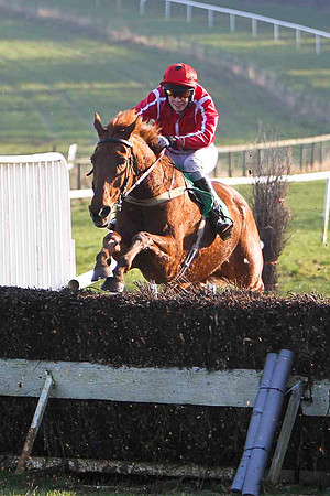 Jamadiel 7th, Jockey Mr J J Slevin -FT8E0525-e
