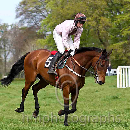 Aces Or Better , Winner , Jockey - J J Codd - FT8E2085-e