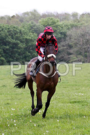 Odd One Out , RO, Jockey - J J Codd - FT8E2622-e