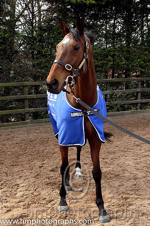 Hidden Horizons winner of the Toals bookmakers Ulster Grand National at Downpatrick -CU2D1466-Edit-43