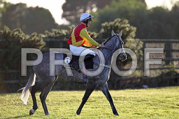 Ounaja 7th, Jockey Mr M J O'Hare - FT8E1157-e