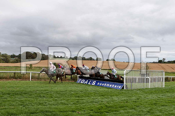 Kilrush - 2nd , Jockey R M Power - in the lead - IMG_9491-e