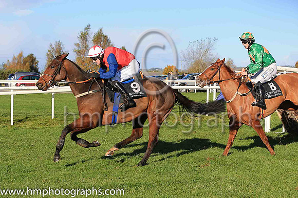 08th Emigrated and G N Fox ( 9 , red, dark blue sleeves ) Trainer - G P Cromwell , Owner - B  I Partnership