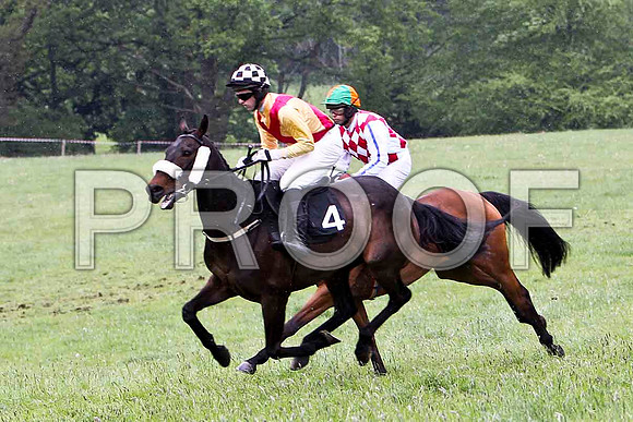 Durless Lady , PU, Jockey D A Fitzsimmons - FT8E2643-e