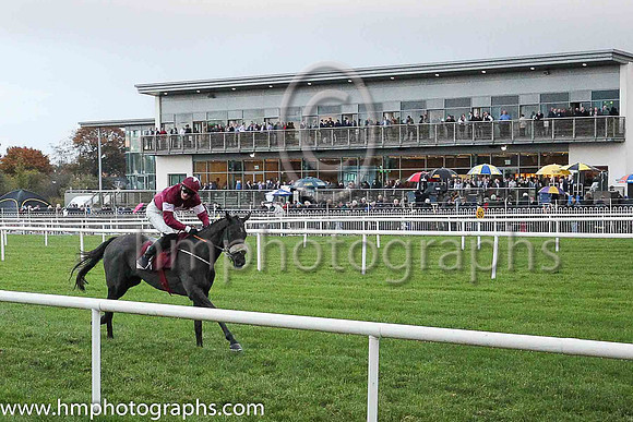 03rd Morgan and Mr L J McGuinness ( 5 , maroon, white star, maroon cap ) Trainer - G Elliott , Owner - Gigginstown House Stud