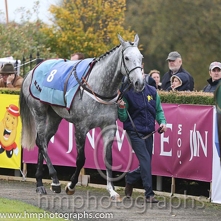 05 Ma Filleule and D A Jacob - - 05th (8 ,emerald green , dark green sleeves ) Trainer - N J Henderson