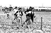 IMG_0010-e3