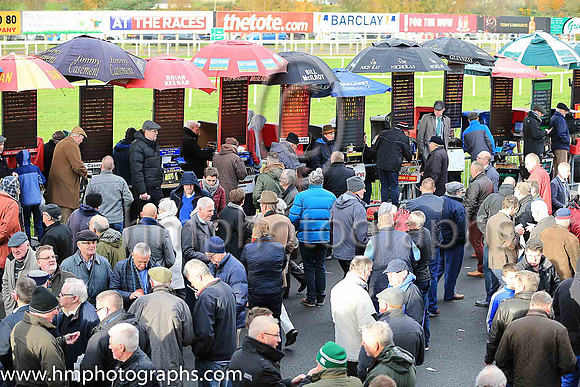 Crowds at Down Royal