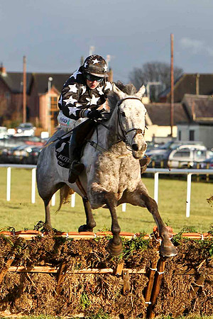 Hidden Diamond 4th, Jockey R Loughran - FT8E9921-e